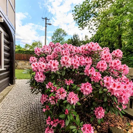 Arnoltice 5 By Interhome Apartment *